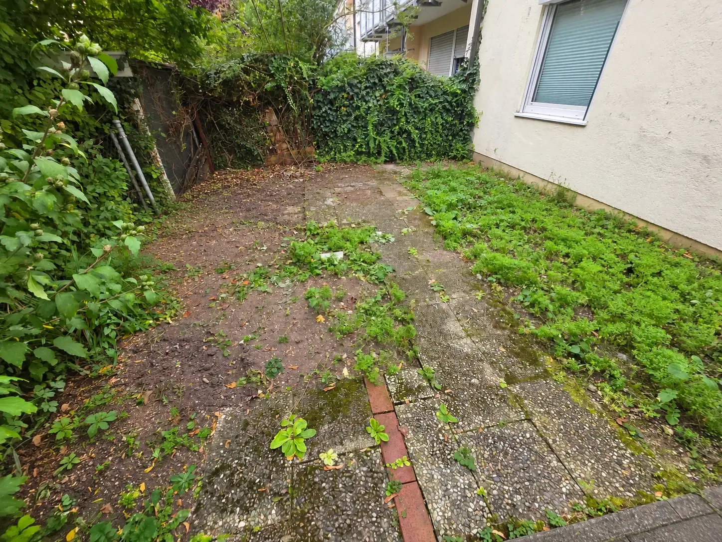 Bestehende Gartenfläche mit lückenhaftem Bewuchs und altem Plattenweg vor der Umgestaltung