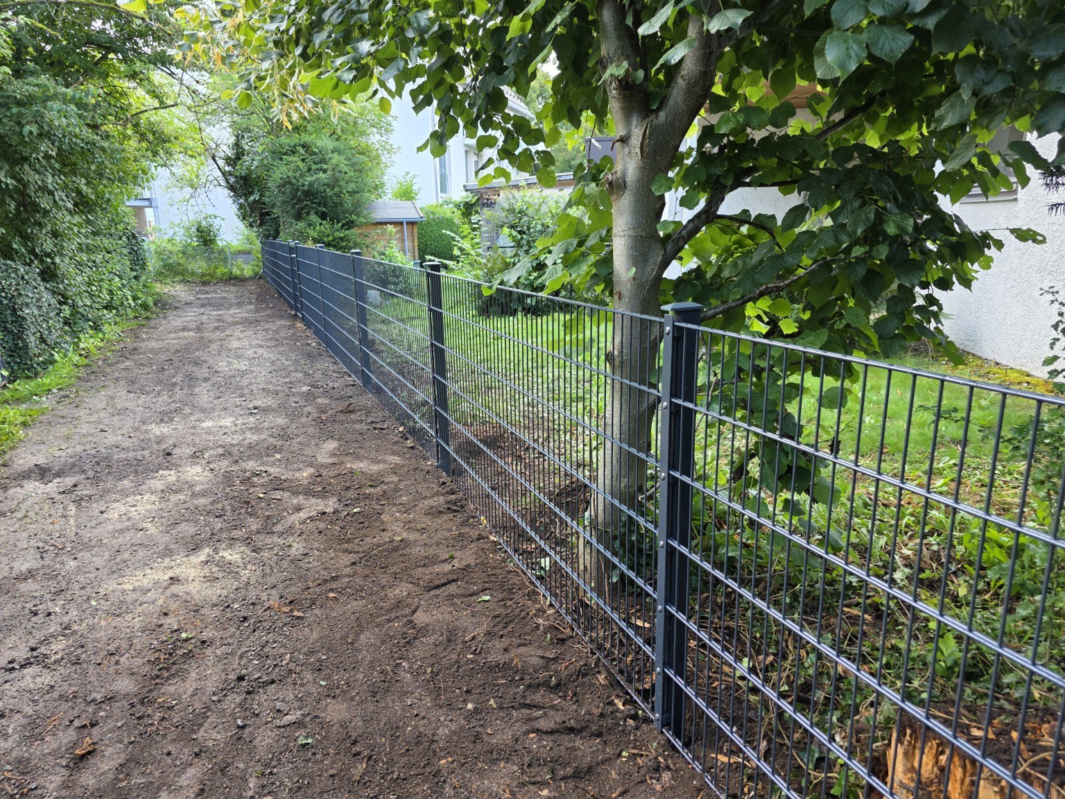 Anthrazitfarbener Doppelstabmattenzaun entlang des Gartenwegs in Planegg