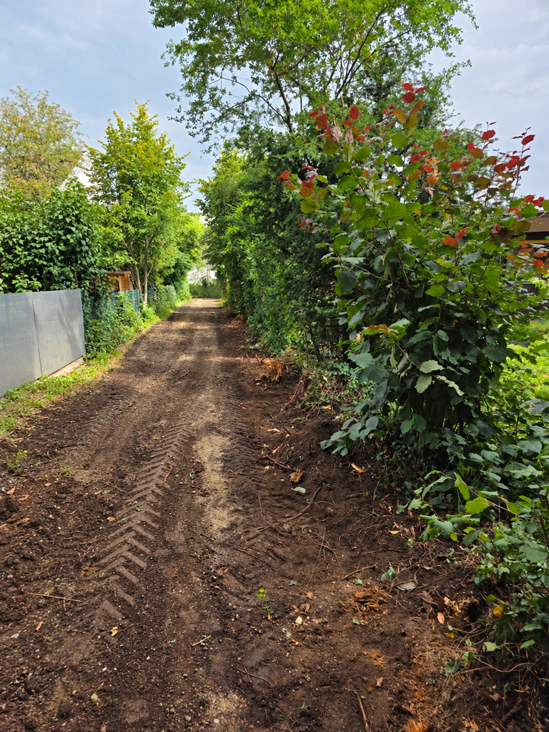 Freigelegter Arbeitsbereich entlang der Grundstücksgrenze vor der Montage des neuen Zauns in Planegg